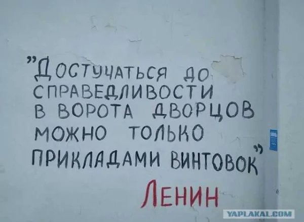 IMG 20260219 031509