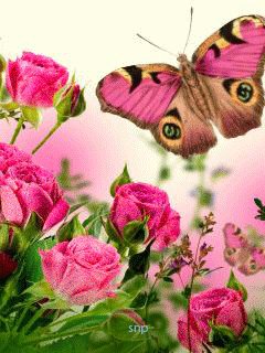 file_50228668
