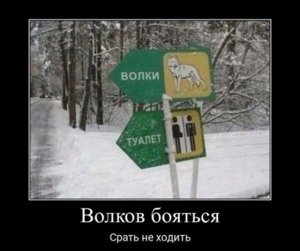 file_98865514