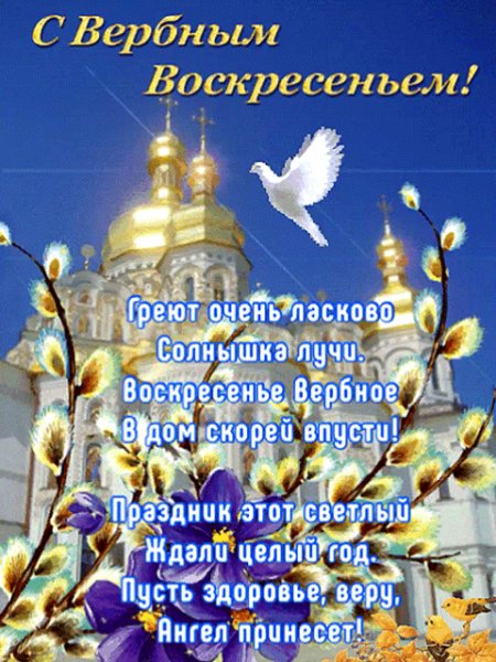 IMG 20230409 211145