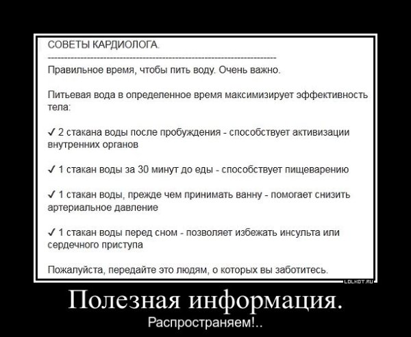 lol1551191390