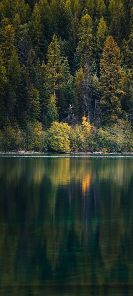 file_95148431