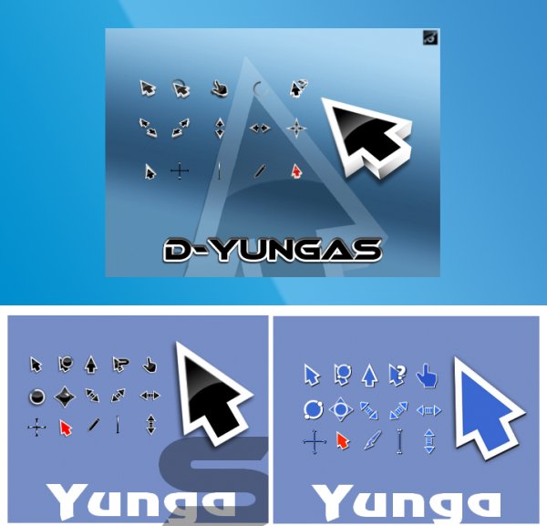 D Yungas