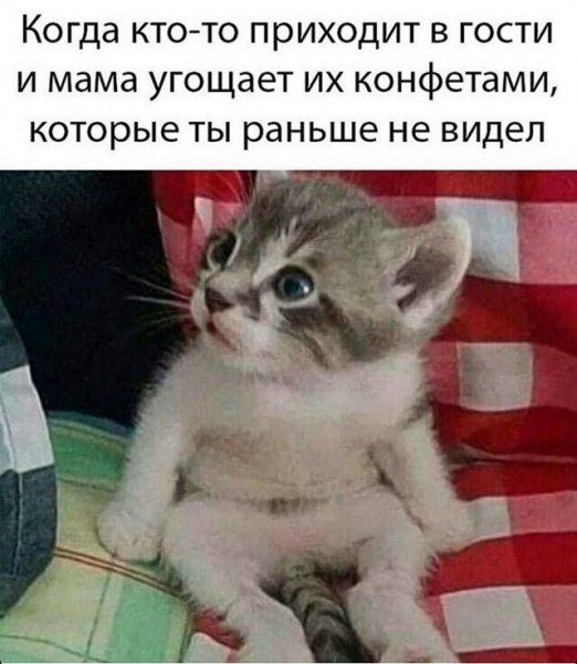 file_102584652