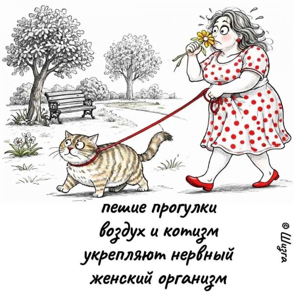 FB IMG 1777225571348