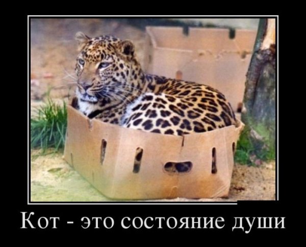 file_68172675
