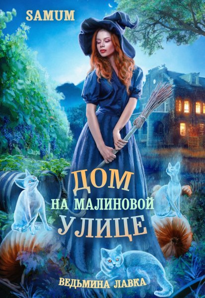 1 Александра Питкевич-Дом на Малиновой улице