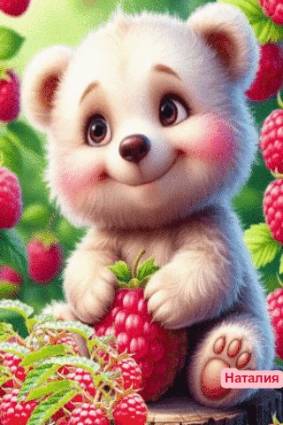 file_100484694