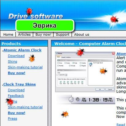 Божьи коровки 2in1