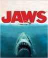 x320(se)-jaws