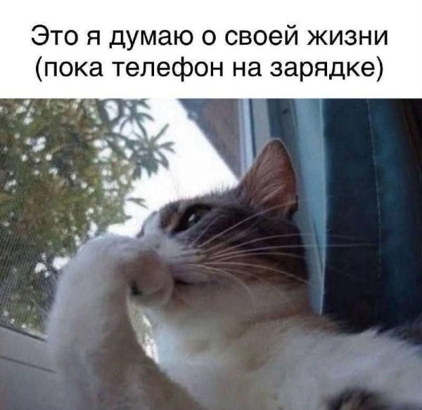 FB IMG 1777225690375