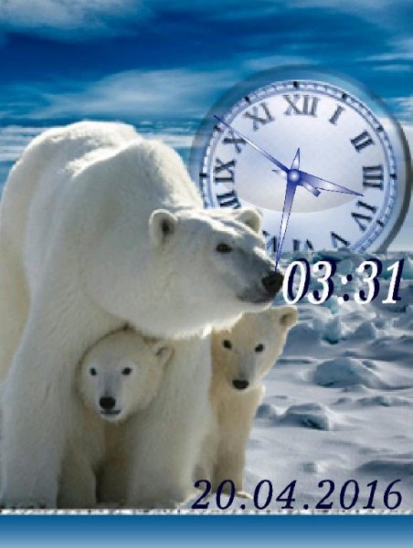 Где-то на белом свете...