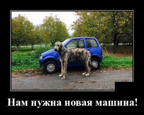 Нам нужна новая машина