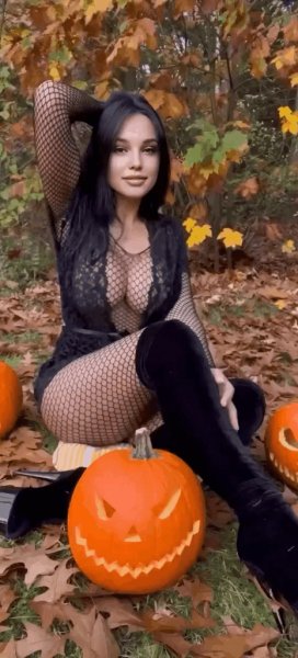 file_102012088