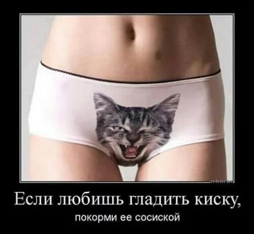 file_73909971