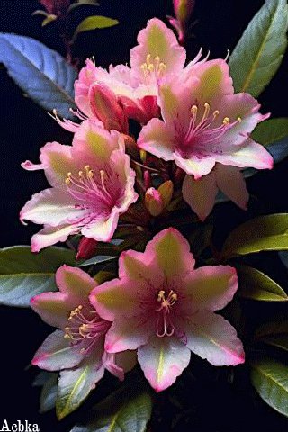 file_96805059