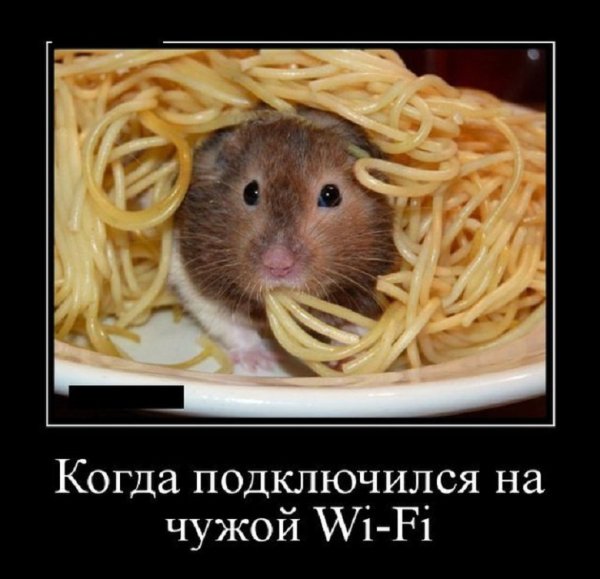 Когда подключился на чужой вайфай