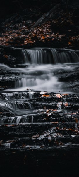 file_96122652