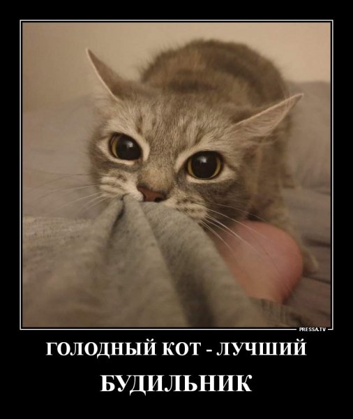 file_81477544