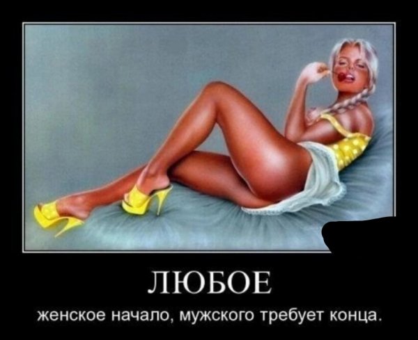 file_98888211