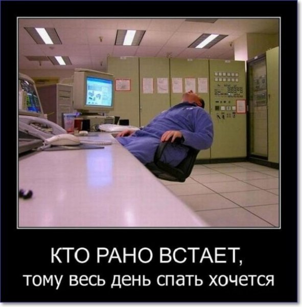 Кто рано встаёт...