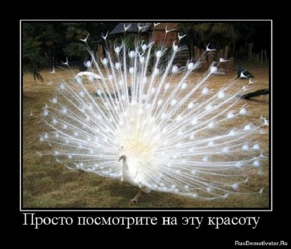 Просто красиво...