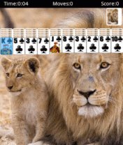 9 в 1 Solitaire HD LG 240x400