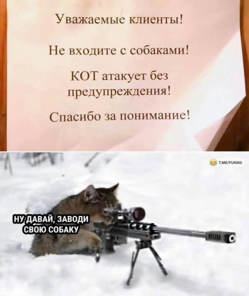 FB IMG 1778234002973