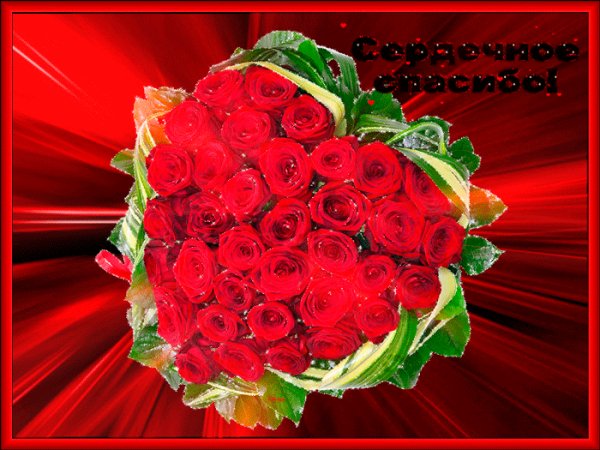 сердечное спасибо