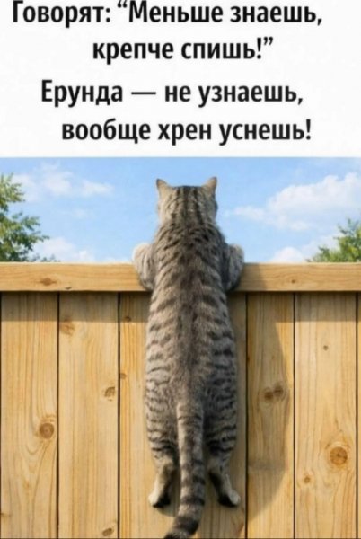IMG 20260804 232952
