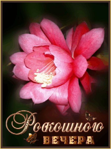 РВ
