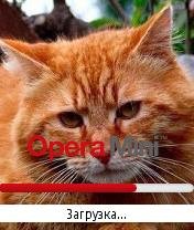 Red cat splash Opera Mini by Storm
