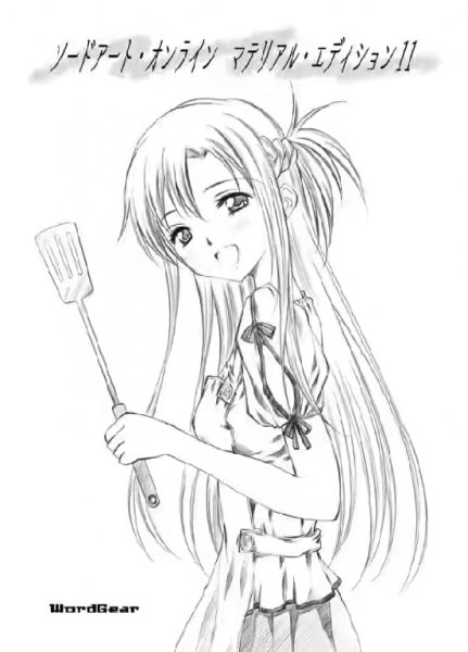 SAO Material Edition 11 16.7 fb2