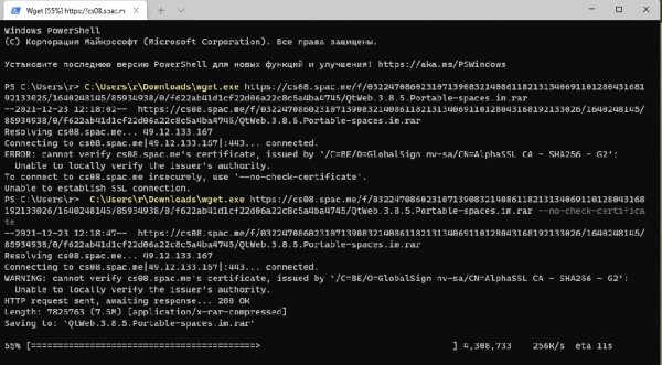 Wget