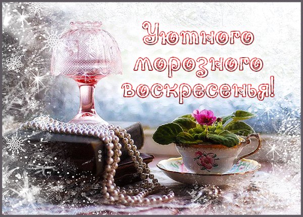 IMG 20260129 232628