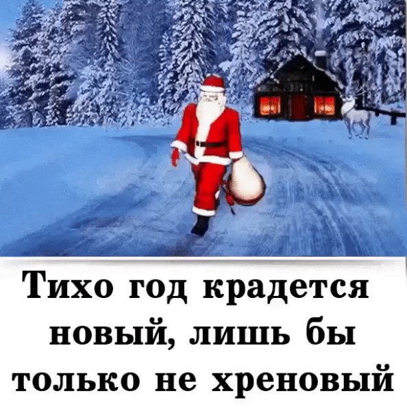 IMG 20221206 153722