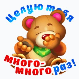file_97179876