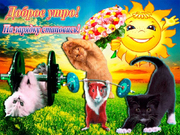 Доброе утро! На зарядку становись!