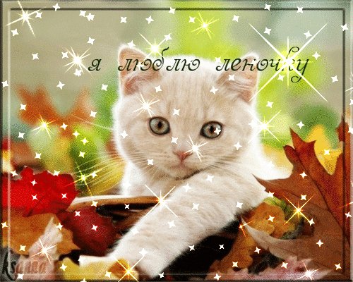 Я люблю Леночку