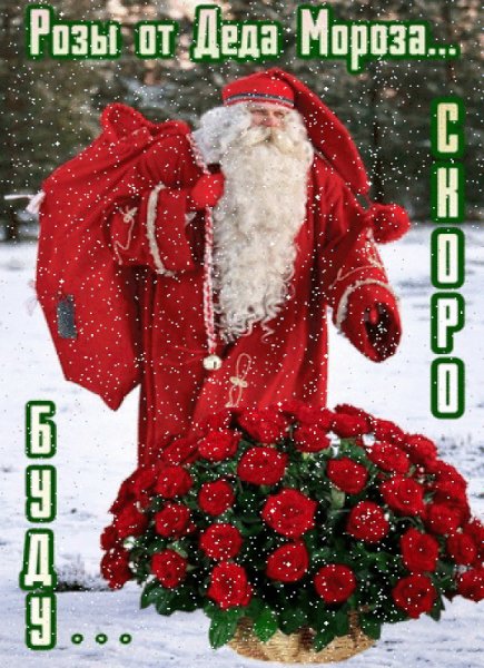 IMG 20231201 050634