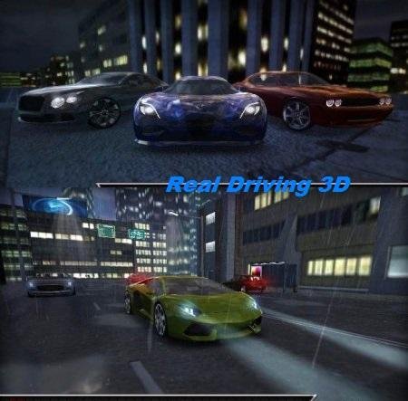 Real Driving 3D v1.5.1