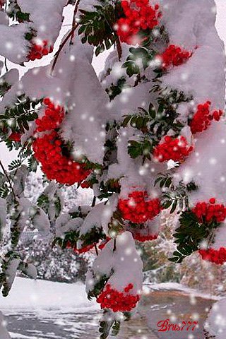 file_54154763