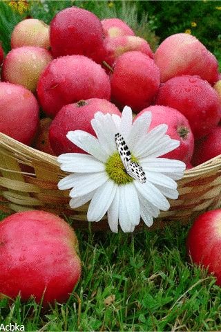 file_78637547
