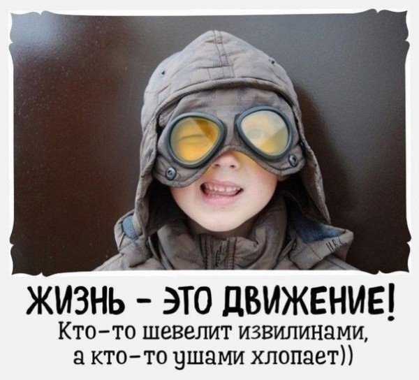 file_95216116