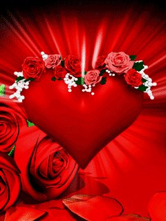 c161c8e4ee8b2d655926df46feeb1