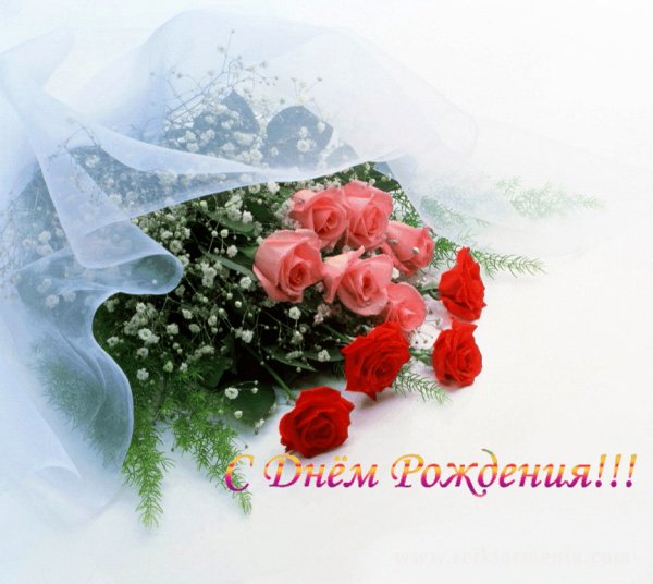 СДР Б.Роз