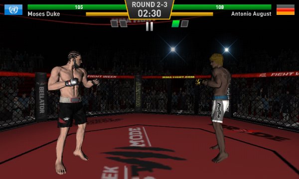 Fighting Star