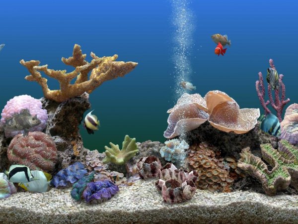Marine Aquarium 3.5.9 Rus