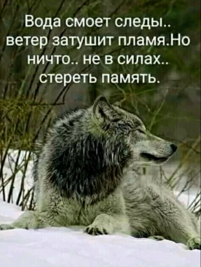 file_102222907