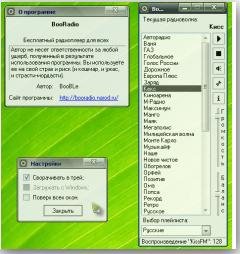 Boo Radio Rus Setup